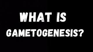 GametogenesisGametogenesis in Urdu and HindiWhat is Gametogenesis [upl. by Nuahc]