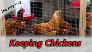 Keeping Chickens for Beginners  My Daily Routine  UK [upl. by Enomys]