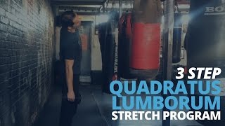 3 Step Quadratus Lumborum Stretch Program [upl. by Novikoff]