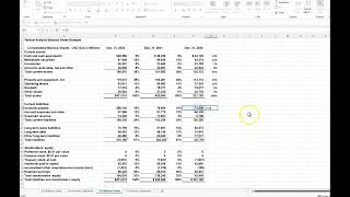 Vertical Analysis on the Balance Sheet amp Income Statement [upl. by Evol241]