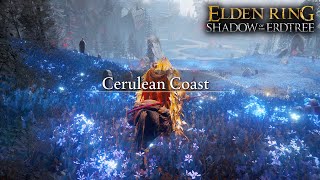 How to Get to Cerulean Coast  Elden Ring Shadow of the Erdtree Location amp Guide [upl. by Sibley]