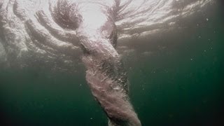 Whirlpool Under water camera [upl. by Dnomar711]