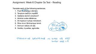 Shelmerdine Chapter 3a Reading Test [upl. by Seafowl]