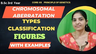 Types Of Chromosomal Aberration BSc 3rd YearChromosomal Mutation [upl. by Akimehs]