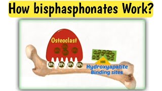 Mechanism action of bisphasphonates  How bisphasphonates work  Doctors goal [upl. by Kakalina]