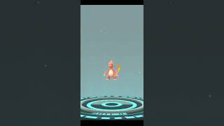 Charmander ❌ evol in 🔥pokemon go💯ashpokemons shinypokemon pokemongo freefire music [upl. by Llewxam]