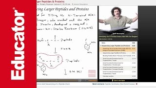 Peptides and Proteins Sequencing  Biochemistry Tutorial [upl. by Aynodal]