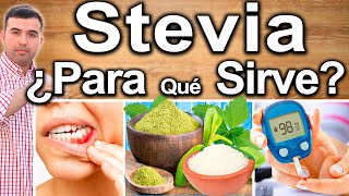 ESTEVIA O STEVIA CURA TODO  ¿Para Qué Sirve  Beneficios De La Stevia Para Tu Salud Y Belleza [upl. by Vullo50]