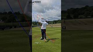 Louis Oosthuizen Golf Swing 🏌️golf golfswing nuggetgolf [upl. by Darby]