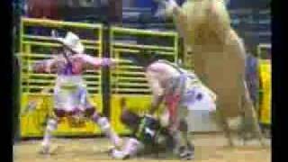 Bodacious The Undefeated Rodeo Bull Videoflv [upl. by Aivirt]