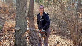 5 Years Living Off The Grid  Falling Her First Tree  It Was Hilarious [upl. by Olotrab]