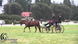 Gilles Pirotte Dressage Championnat de Belgique 2014 [upl. by Clementia]