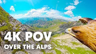 Breathtaking Eagle POV Flying Over The Alps in 4K [upl. by Celia]