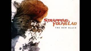 You Suck  Strapping Young Lad W Lyrics [upl. by Venator]