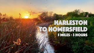 Harleston to Homersfield Paddle [upl. by Gefell206]