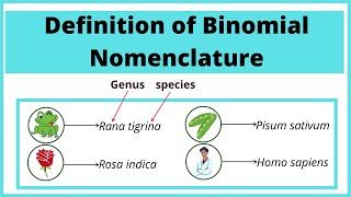 Definition of Binomial Nomenclature  with Examples  Biology [upl. by Nilra]