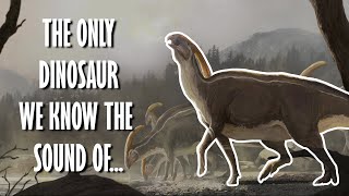 Parasaurolophus  The dinosaur that sounded eerily beautiful [upl. by Ttik]