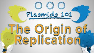 Origin of Replication  Plasmids 101 [upl. by Derby811]