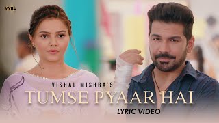 Tumse Pyaar Hai Lyric Video Vishal Mishra  Rubina Dilaik Abhinav Shukla  VYRL Originals [upl. by Ardeed119]