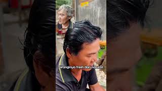 Shampoo Rambut Anti Uban BPOM Penyubur dan Penghitam Rambut Permanen [upl. by Hedvige]