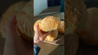 Personal size sourdough loaves version 2 🥖✨ sourdough baking bread sourdoughrecipe recipe [upl. by Anol]