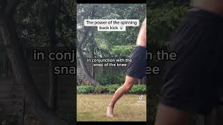 Spinning back kick analysis 🥋✨martialarts kickboxing karate combatsports pain kick power [upl. by Clintock440]