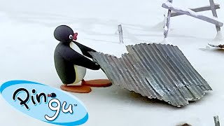 Productive Pingu 🐧  Pingu  Official Channel  Cartoons For Kids [upl. by Cindee233]