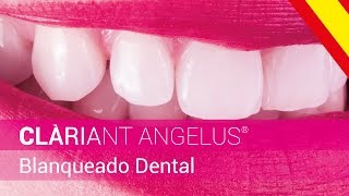 CLÀRIANT ANGELUS®  Blanqueado Dental  Asociación Técnica [upl. by Sherborn]