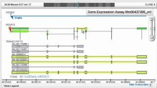 Choosing the Right TaqMan® Assay  Ask TaqMan® Ep 20 by Life Technologies [upl. by Garber213]