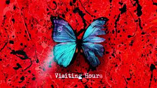 Ed Sheeran  Visiting Hours Official Lyric Video [upl. by Wendt]