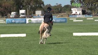 Open Saddle Pony not over 122 hands  Royal Melbourne Horse Show 2014 [upl. by Eynttirb]