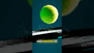 PERCHÈ LE PALLINE DA TENNIS SONO PELOSE credits ​⁠​⁠zackdfilms [upl. by Lock]