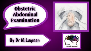 OBSTETRIC ABDOMINAL EXAMINATION  OSCE Station in hindi  Urdu [upl. by Krissy320]