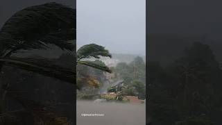 L’ouragan Beryl s’abat sur la Jamaïque [upl. by Akimahc]