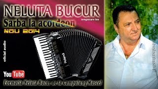 NELUTA BUCUR  Sarba la acordeon 1 live audio [upl. by Notluf]