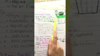 Lysosomal Storage Diseases Sphingolipidoses MADE EASY with mnemonics [upl. by Thgiwed121]