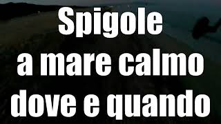 Spigole a mare calmo  dove e quando [upl. by Ivo]