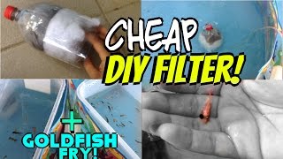 DIY cheap air driven filter  moving goldfish fry outdoors [upl. by Llehcar834]