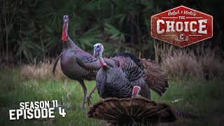 Osceola Turkey Hunting  The Choice Full Episode  S11 Episode 4 [upl. by Isidoro]