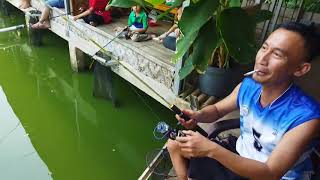 FUN FISHING STRIKE BACK TO ABAH GC RESTO amp FARM [upl. by Wiltshire]