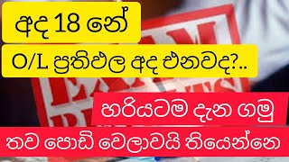 අද Ol ප්‍රතිඵල එනවද  හරියටම දැනගමු  2024 Ol examination  Ol result [upl. by Niuq]