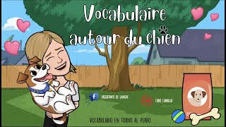 🐶🐾 Chiens  Vocabulaire et expressions autour du chien 🐕❤️  Vocabulario de perritos [upl. by Hance]