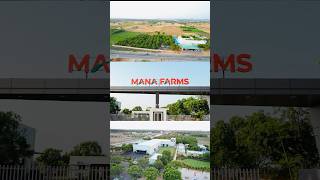 Mana Farms Resorts travel trending telugu karimnagar resort knrtv siddipet localnews [upl. by Semadar]