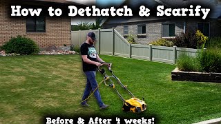 DIY How To DETHATCHING amp SCARIFYING this lawn SAVED IT From brown to green again [upl. by Sirrot]