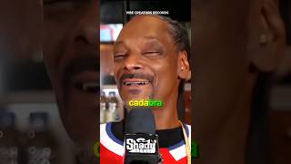 Snoop Dogg Sings Eminems Houdini  A HipHop Collaboration [upl. by Demaria909]