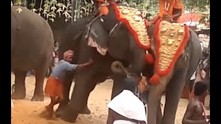 Elephants Rampage At Temple Function  Elephant Attack In Temple Festival [upl. by Nahamas]