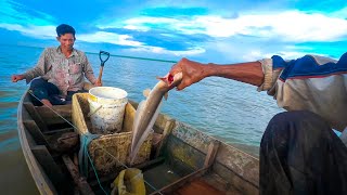 Keseruan Mancing Rawai ikan Sembilang [upl. by Brandi]