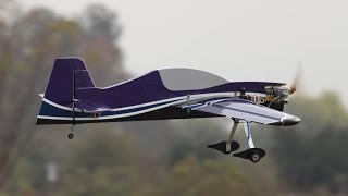 Sbach342 20cc Profile Flight Review [upl. by Brentt133]