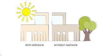 Hostavin® – light stabilizer dispersions for waterborne coatings [upl. by Bose]