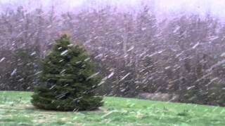 Giant snowflakes fall in the front yard on 27Mar11 [upl. by Annovoj703]